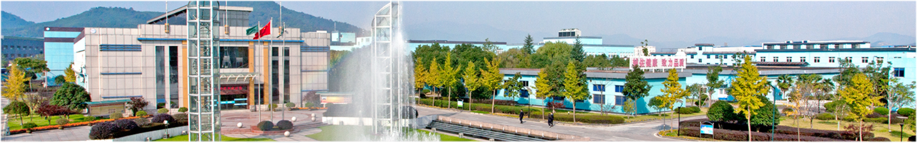 1575630860298954.png 1575630860298954.png